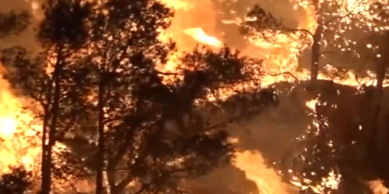First big forest fire of the year in Spain! Thousands of hectares were burned, still not under control